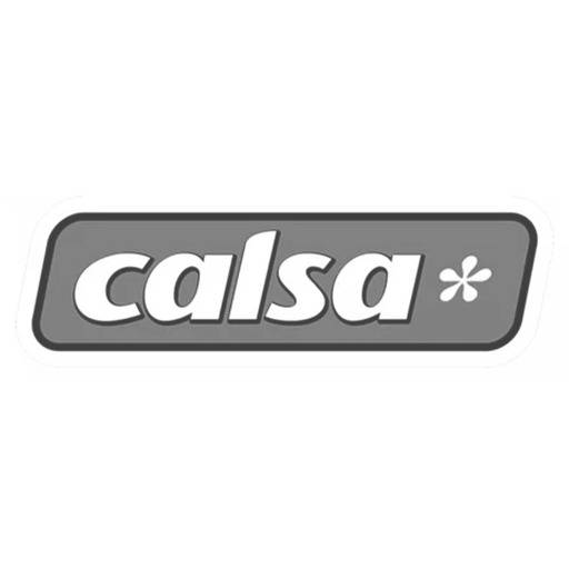 Calsa